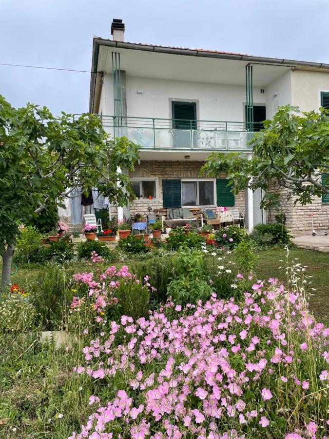 Tribalj Apartments Grubisin מראה חיצוני תמונה